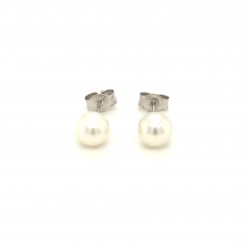  14K White Gold  Stud 14K White Freshwater Pearl Stud Earrings Excel Surrey Vancouver Canada Langley Burnaby Richmond